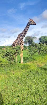 Image for Exploring the Reasons Behind The Decline of Tourism in Nigeria